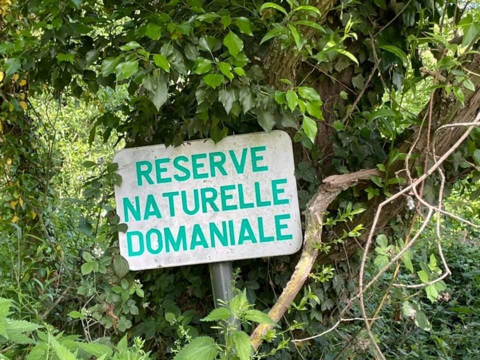 La Vallee 瑟内夫 外观 照片